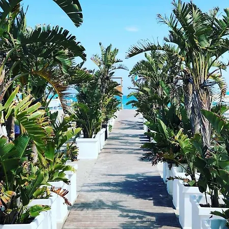 Flamingo Poetto Mare A Due Passi كالياري