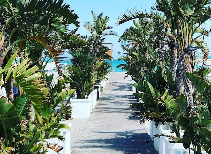 Flamingo Poetto Mare A Due Passi كالياري